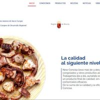 newconcisa